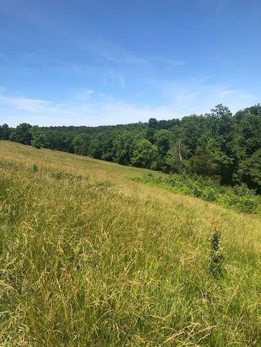 1915 Mount Zion Rd, Frankfort, KY 40601